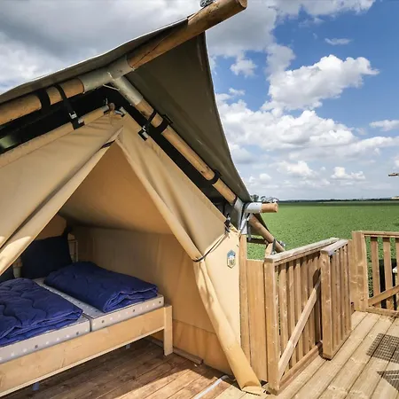 Mareveld * Schimmert