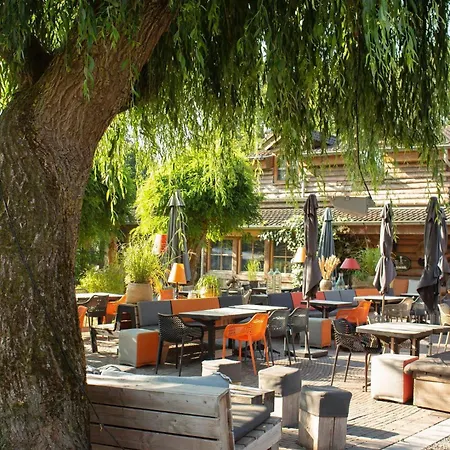 Mareveld * Schimmert