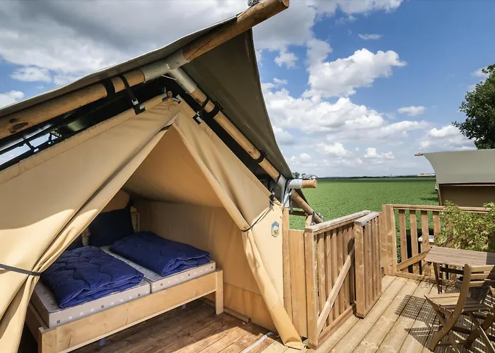 Mareveld * Schimmert