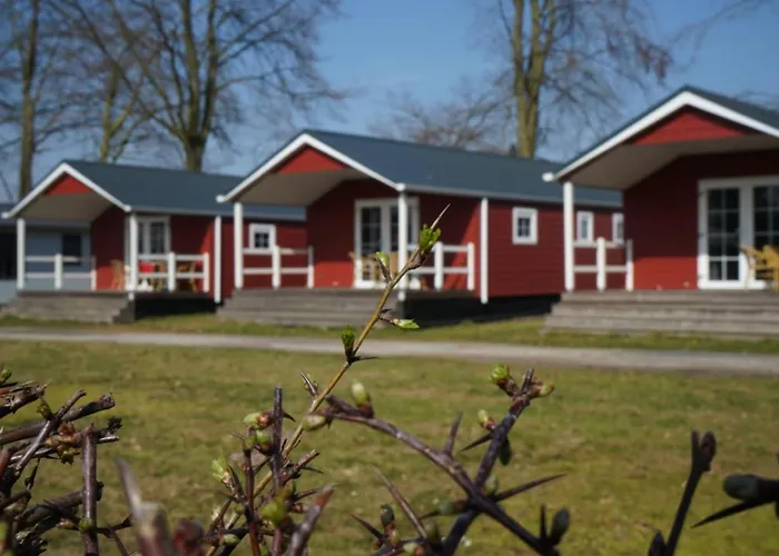 Mareveld 캠프장 *