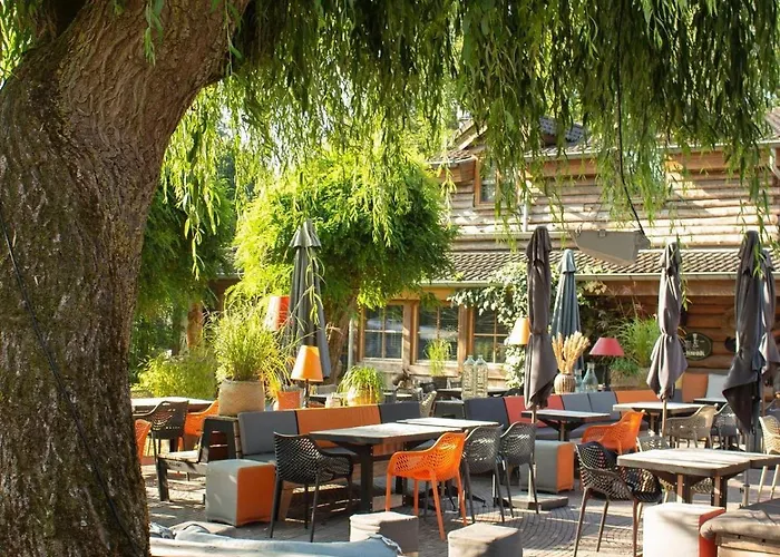 Mareveld * Schimmert